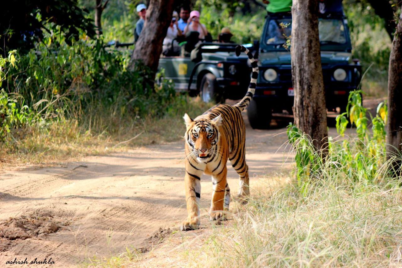 The Fern Ranthambore Forest Resort Rajasthan ساواي مادهوبور المظهر الخارجي الصورة